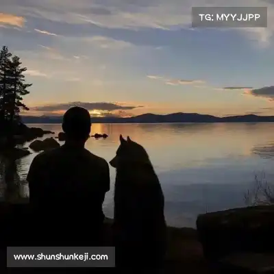 王秦准